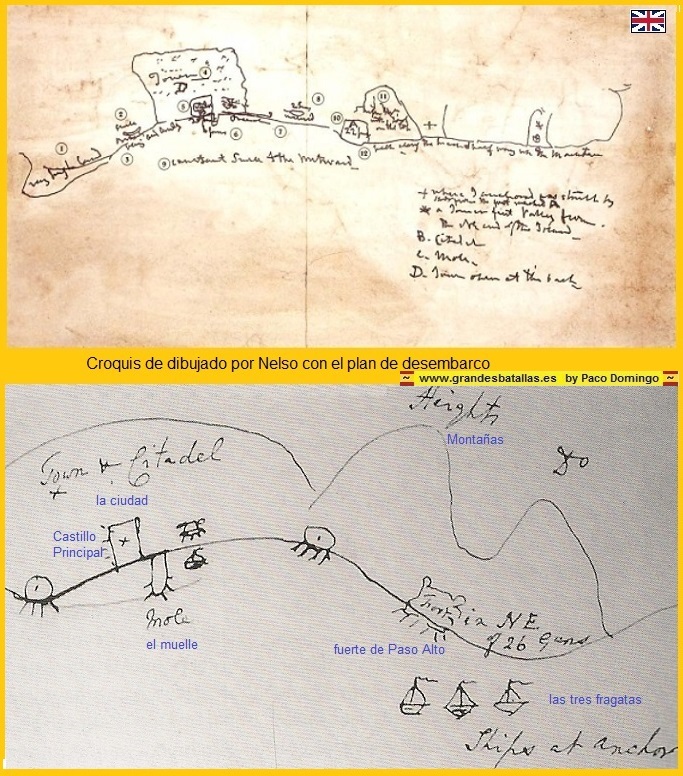 croquis de nelson